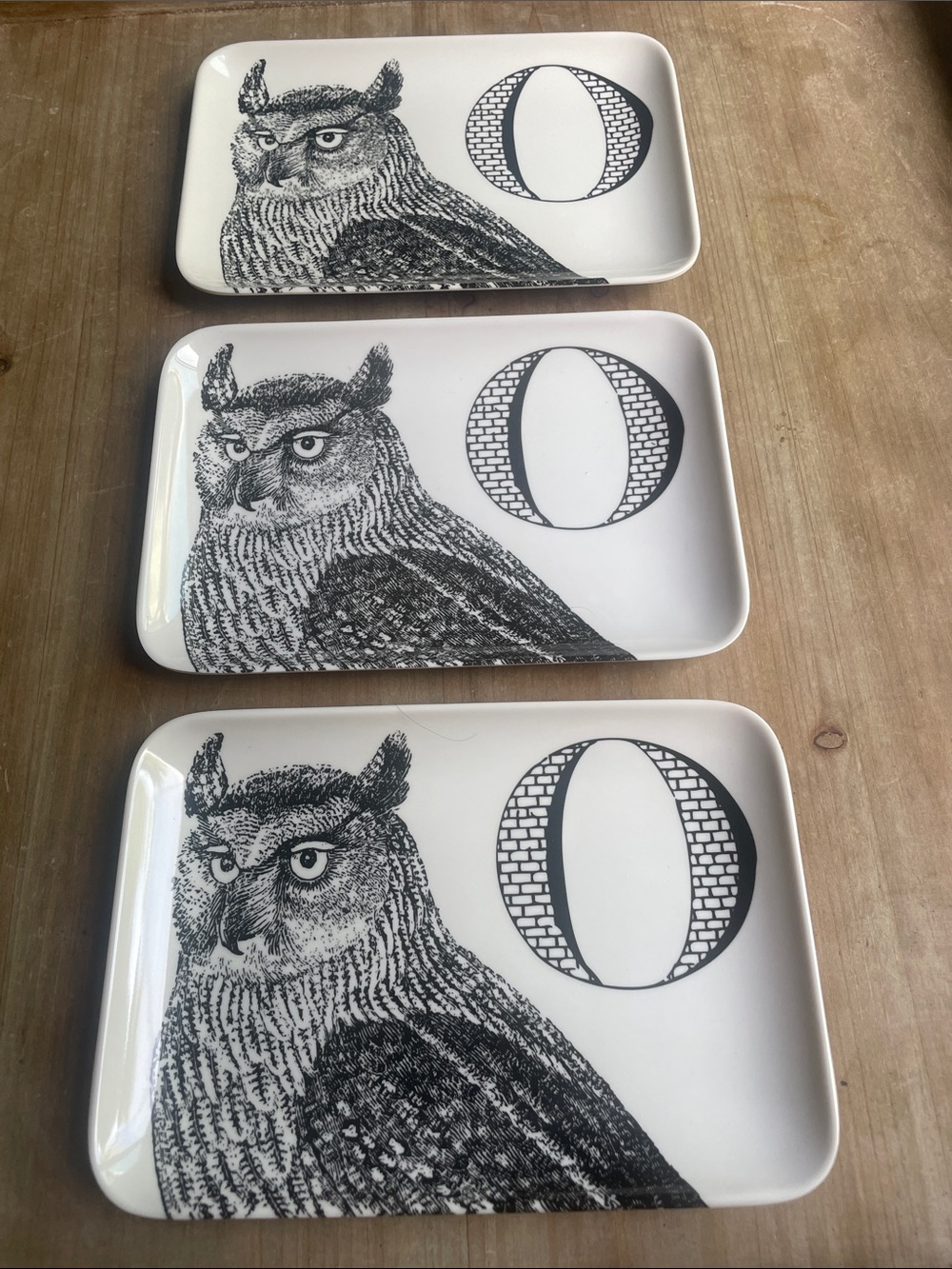 Thomas Paul Black and White Owl Serving Tray - Classic Rectangular Design (3)